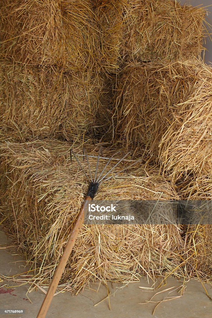 Hay bales con herramientas - Foto de stock de Agricultura libre de derechos