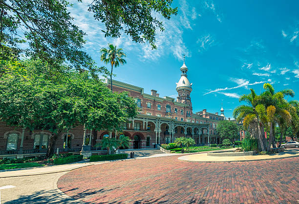 The University Of Tampa