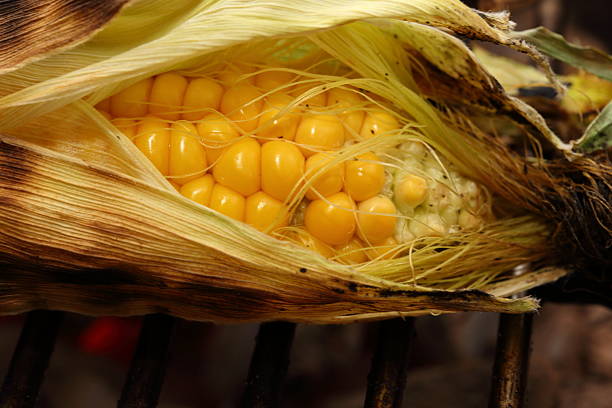 Summer is corn maize on grill for dinner.