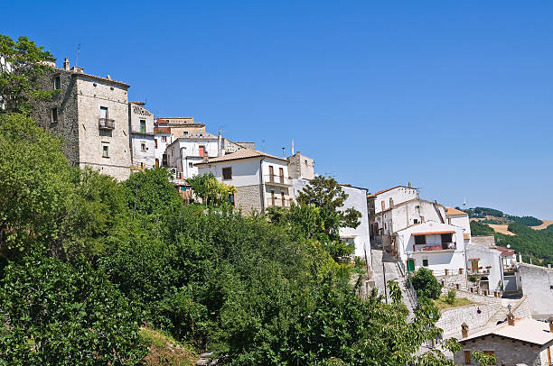 istock Panoramic view of Alberona. Puglia. Italy. 471772477