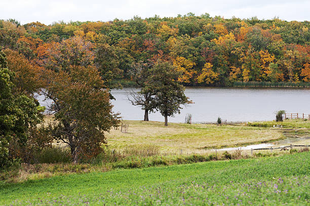 istock Autumn Forest with Pasture, Lake and Sheep 471772614