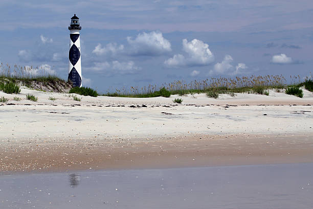 Newly planted grass on the Outer Banks shoreline to prevent erosion.