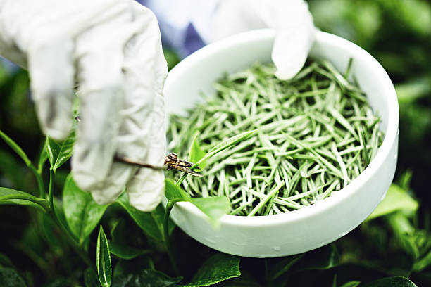 белый чай выпадающего списка - tea leaves chinese tea green tea leaf стоковые фото и изображения