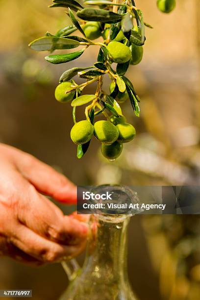 Olive Oil Leaked Into The Bottle Stock Photo - Download Image Now - Antioxidant, Biology, Bottle