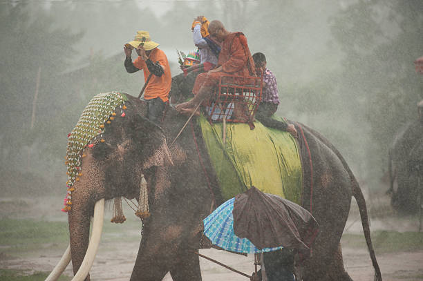 Surin , Thailand -May 23,2013 : Ordination Parade on Elephant’s Back Festival is when elephants parade and carry Novice monk on their backs at  Wat Chang Sawang to Moon river on May 23 , 2013 in Surin Province , Northeast of Thailand.