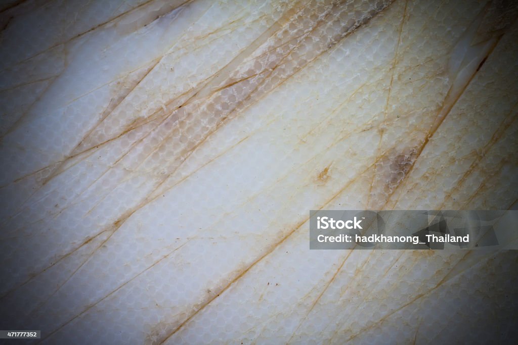 Close up texture  of plastic chopping board Close up of plastic chopping board with deep scratch by knife 2015 Stock Photo
