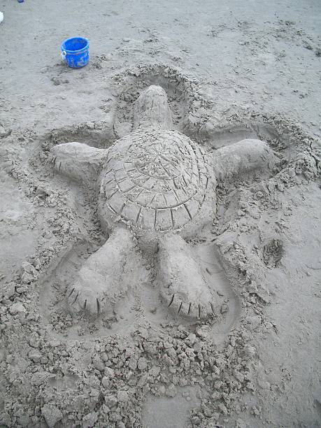 Sandy turtle on the beach stock photo