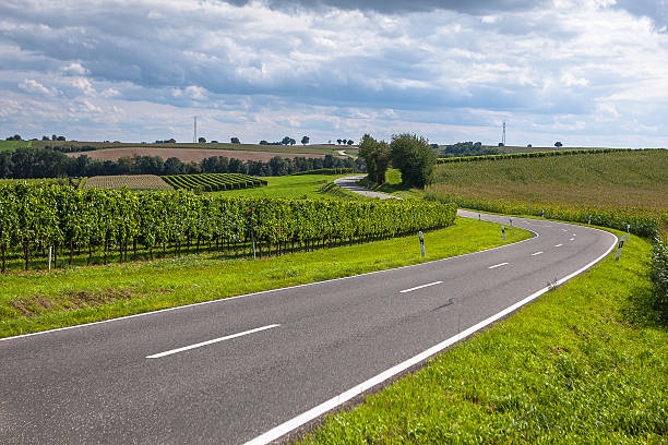 route vide avec vue sur les vignobles et les arbres - country road photos et images de collection