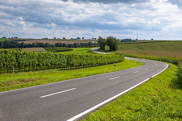View of empty road with vineyards and trees View of empty road with vineyards and trees under a blue sky country road stock pictures, royalty-free photos & images