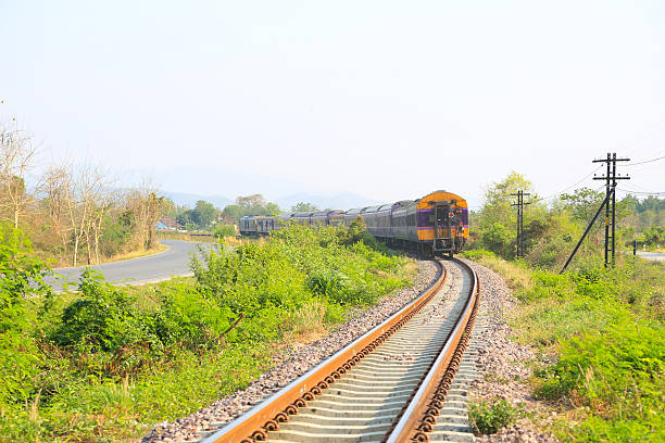istock Railway line passing through the green plants. 471777830