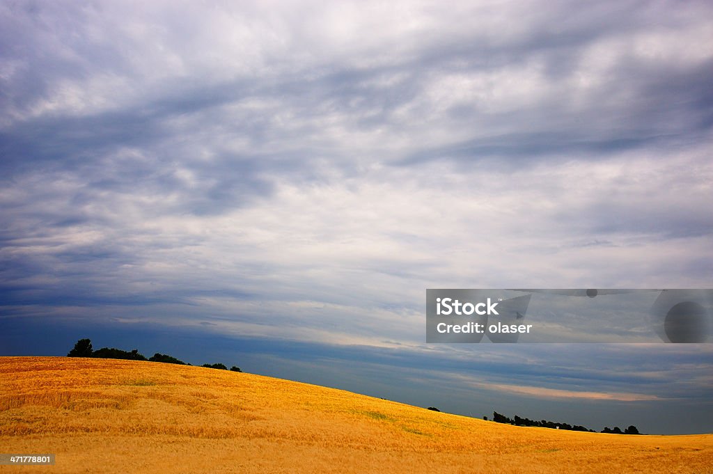 Hill et Ciel menaçant - Photo de Agriculture libre de droits