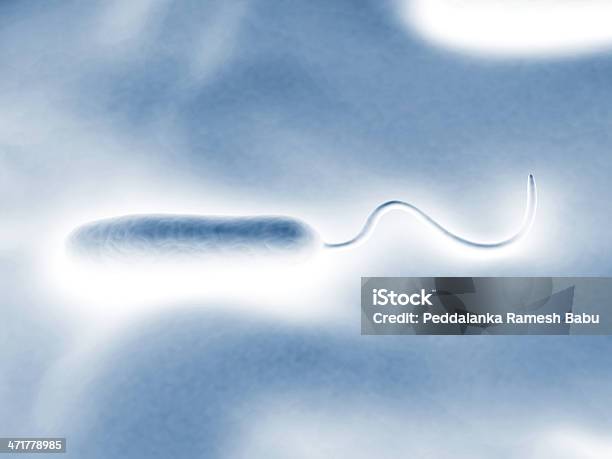 Gramnegative Rodshaped Bacteria Stock Photo - Download Image Now - Bacillus Subtilis, Bacterium, Biology