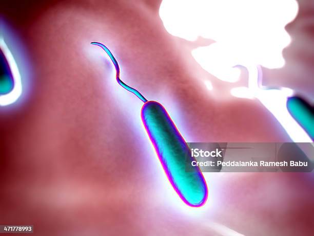 Photo libre de droit de Gramnégatif Courbe En Forme De Bactéries banque d'images et plus d'images libres de droit de Agent pathogène - Agent pathogène, Bacillus Subtilis, Bactérie