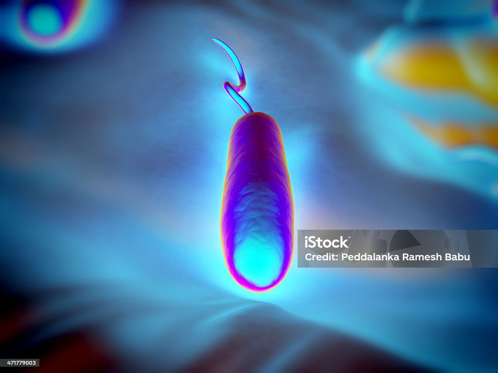 Grama-negativo rod forma de bactérias - Foto de stock de Bacillus Subtilis royalty-free