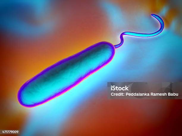 Gramnegativo Batterio A Forma Di Bastoncello - Fotografie stock e altre immagini di A bastoncino - A bastoncino, Bacillus subtilis, Batterio