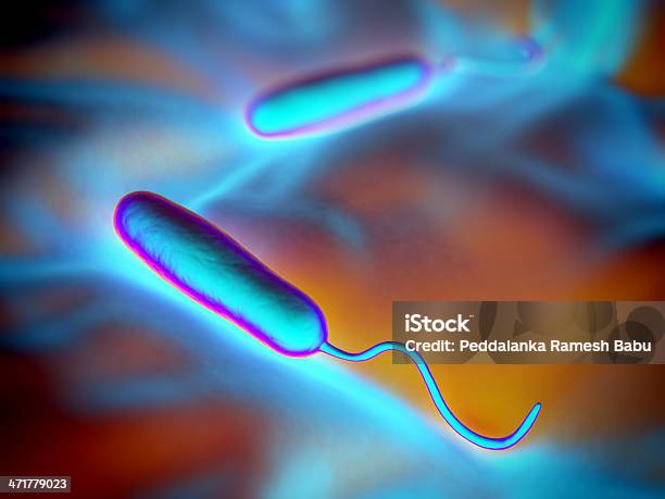 Gramnegativ Rodförmige Bakterien Stockfoto und mehr Bilder von Mikroorganismus - Mikroorganismus, REM-Aufnahme, Bacillus subtilis