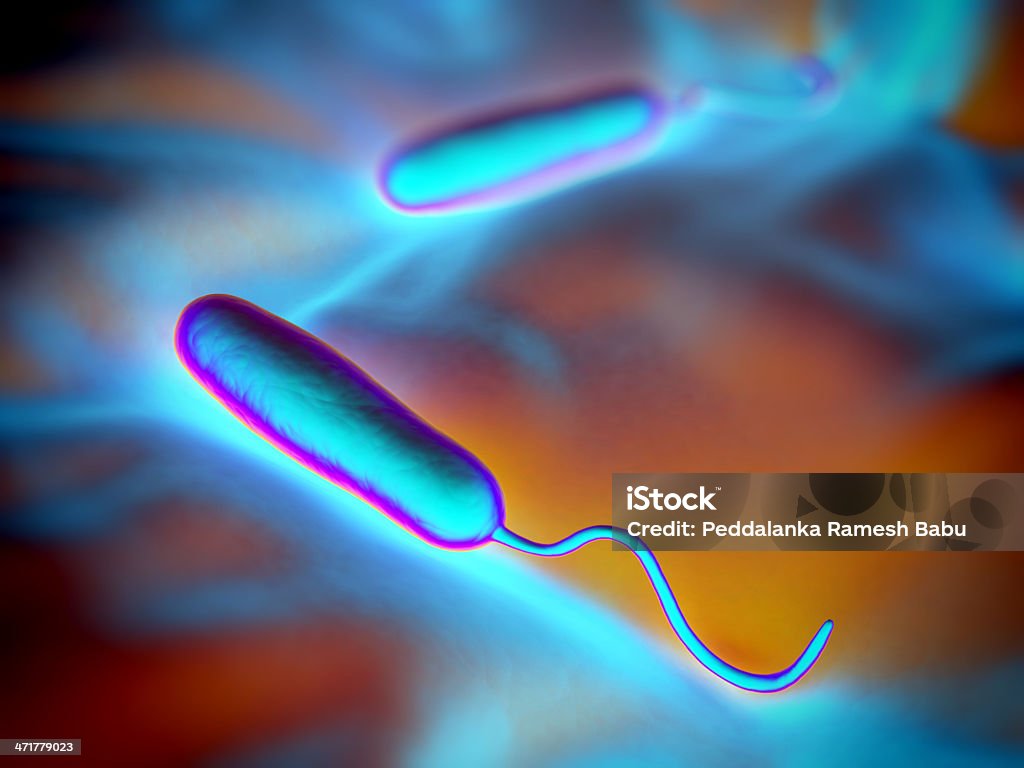 Gram-negativo n forma de bactérias - Royalty-free Micrografia Eletrónica de Varrimento Foto de stock