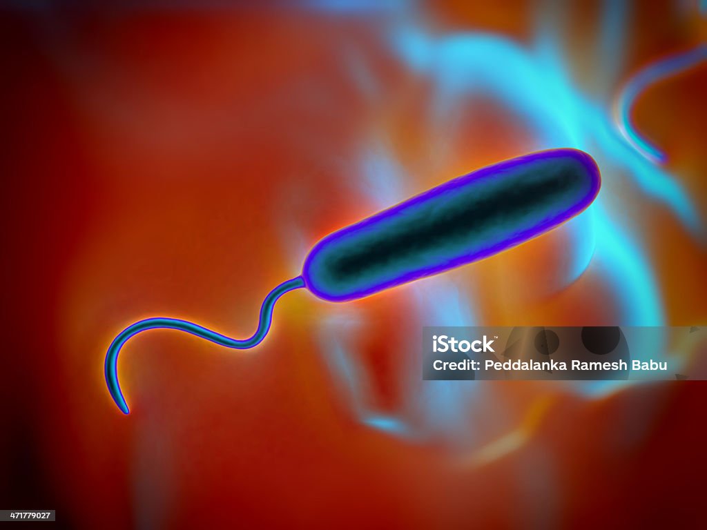 Gram-Negativ rod-förmige Bakterien - Lizenzfrei Bacillus subtilis Stock-Foto