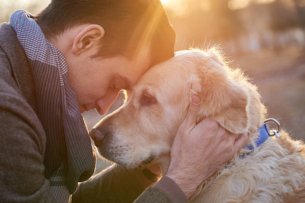 100,183 Human Animal Bond Stock Photos, Pictures & Royalty-Free Images -  iStock | Pet therapy, Dog love, Connection