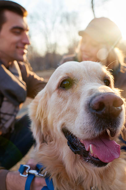 istock Family pet 471779068