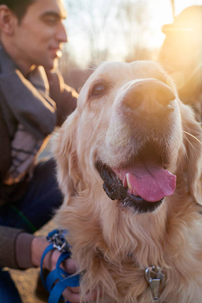 istock Dog in good mood 471779070