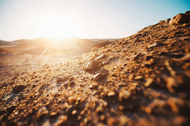 Stones in the desert. Shallow depth of field