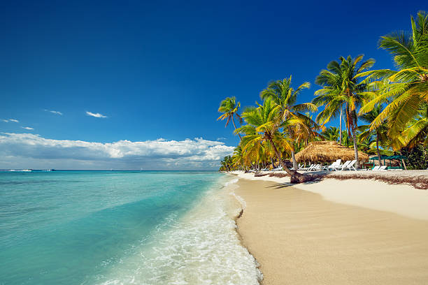 paysage de paradis tropical, sur la plage de l'île - mer des caraïbes photos et images de collection