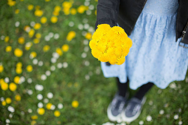 chica sosteniendo un ramo de flores de diente de león - cut flowers women field single flower fotografías e imágenes de stock