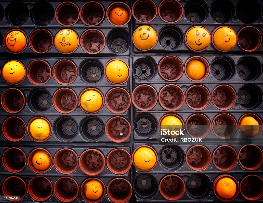 Feliz laranjas - Royalty-free Antropomórfico Foto de stock