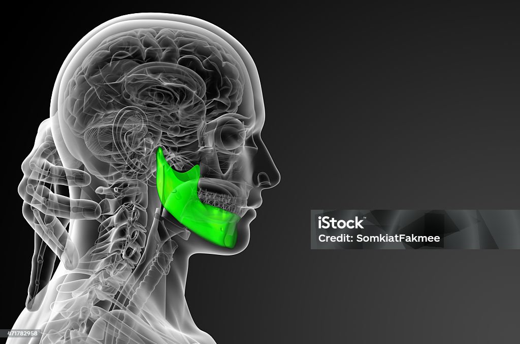 3 D 렌더링됨 일러스트턱뼈 2015년에 대한 스톡 사진 및 기타 이미지 - 2015년, 3차원 형태, X-레이 - iStock