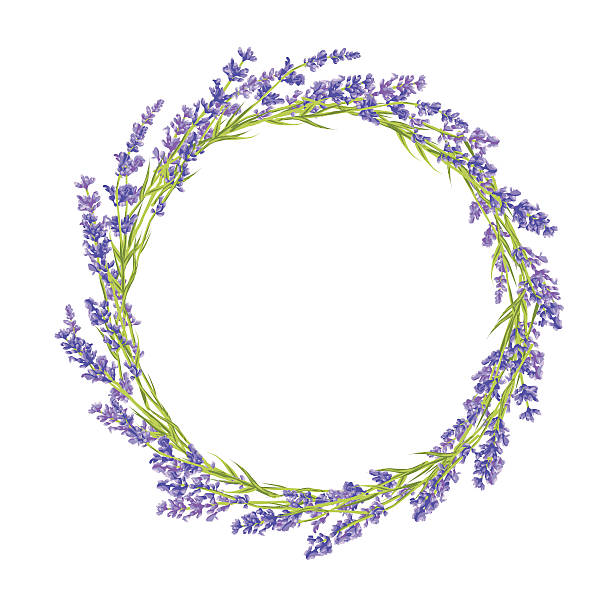 circle von lavendel blumen - lavender coloured lavender flower frame stock-grafiken, -clipart, -cartoons und -symbole