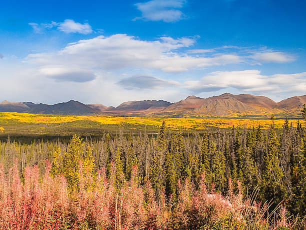 istock alaska mountain in autumn 471783693