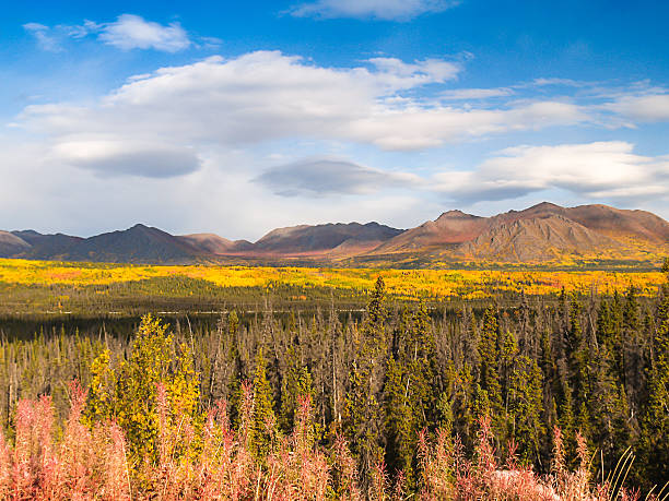istock alaska mountain in autumn 471783695
