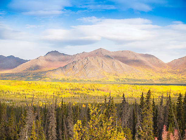 istock alaska mountain in autumn 471783705