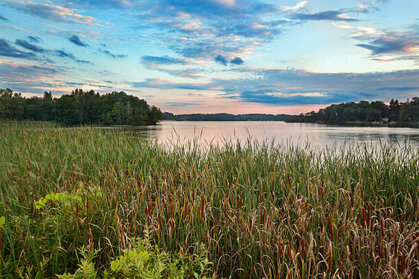 pontoosuc lac - berkshire hills photos et images de collection