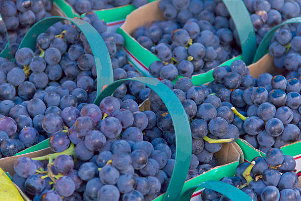 trauben,, ja? - grape red grape red farmers market stock-fotos und bilder