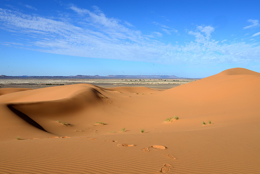 The sands of the Sahara desert in the south of Morocco. Merzouga region.