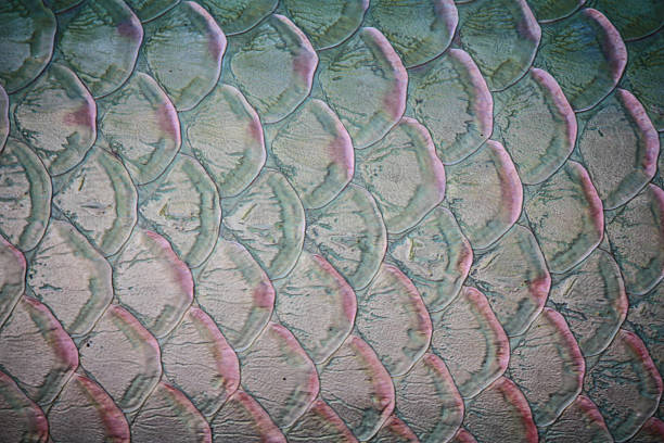 istock Metal blue fish scales 471784771