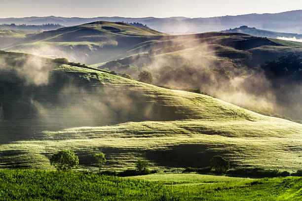 istock Misty hills in Tuscany at sunrise 471785021