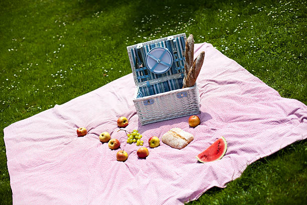 istock Picnic basket on green lawn 471787691