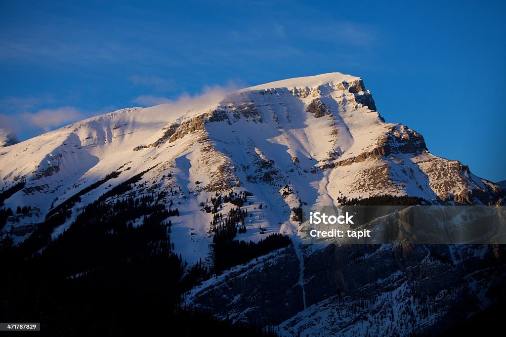 Monte Bourgeau Parco Nazionale di Banff - Foto stock royalty-free di Albero