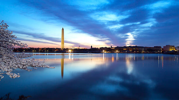 Washington Monument at night with city skyline and cherry blossom