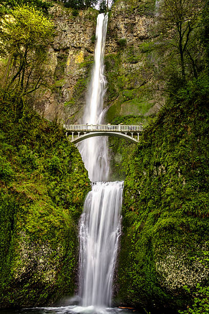 istock Scenic Multnomah Falls in Oregon 471790174