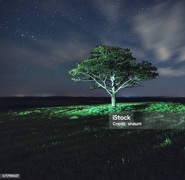 Gwiazdy Na Ocet Hill - zdjęcia stockowe i więcej obrazów Astronomia - Astronomia, Bez ludzi, Bezchmurne niebo