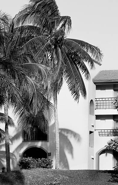 istock Tropical house surrounded by  palm-trees 471790821