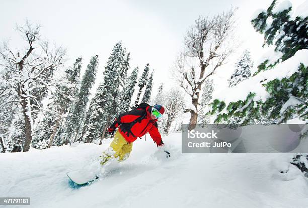 Snowboard - Fotografias de stock e mais imagens de Mata - Mata, Snowboard, Adulto