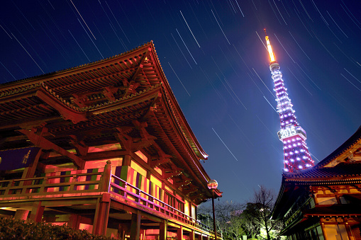 zojoji and tokyo tower