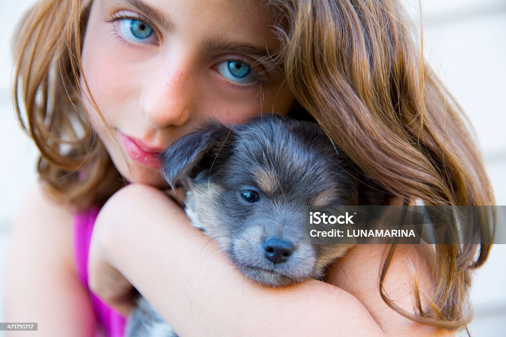 Fille hug un petit chiot chien chihuahua à poil gris - Photo de 8-9 ans libre de droits