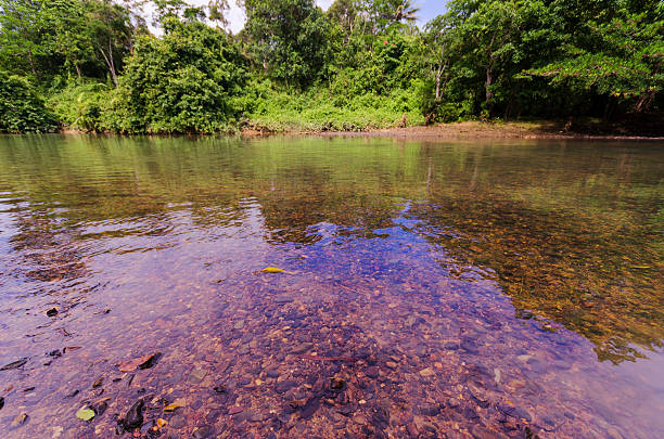 istock Landscape of a river in Malaysia 471791848