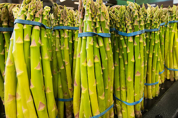 Asparagus